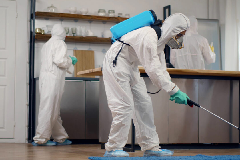 Pest Control Service Qatar