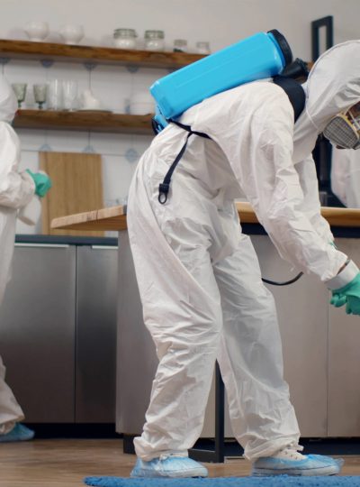 Pest Control Service Qatar